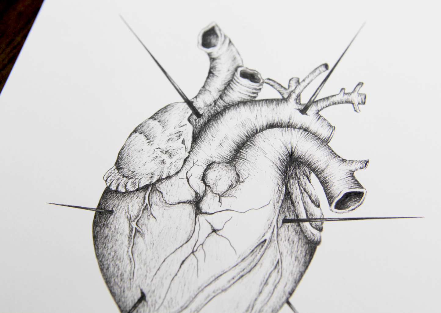 And Still, Your Heart Keeps Beating