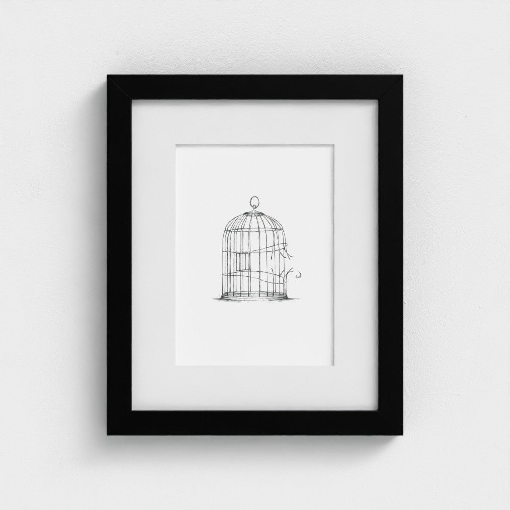 Break Free, Baby Bird