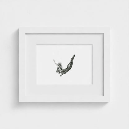 Freefall