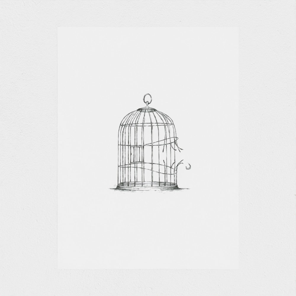 Break Free, Baby Bird